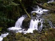 Waukeena Mult Falls 11.26.05 061 